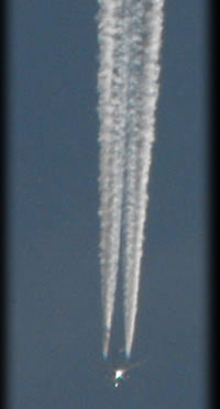 Aerosol Spraying - Photographic Evidence